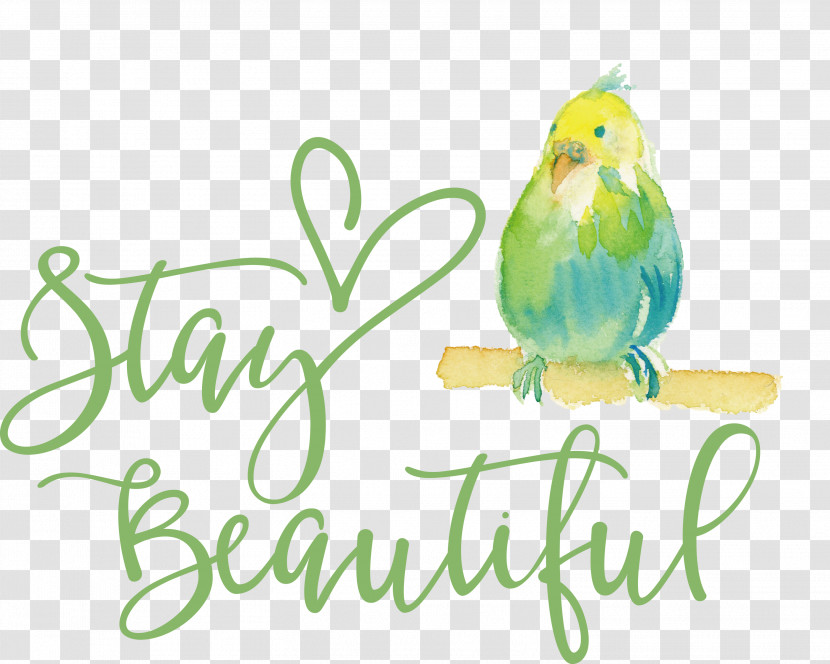 Stay Beautiful Fashion Transparent PNG