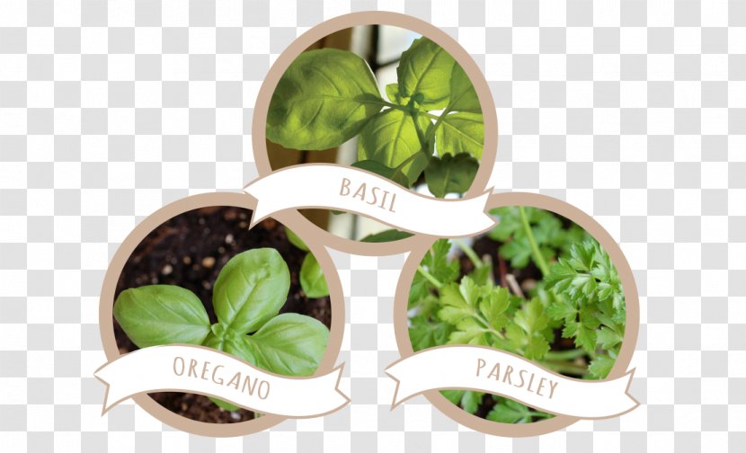 Seed Paper Visiting Card Label Plant - Vegetable Transparent PNG