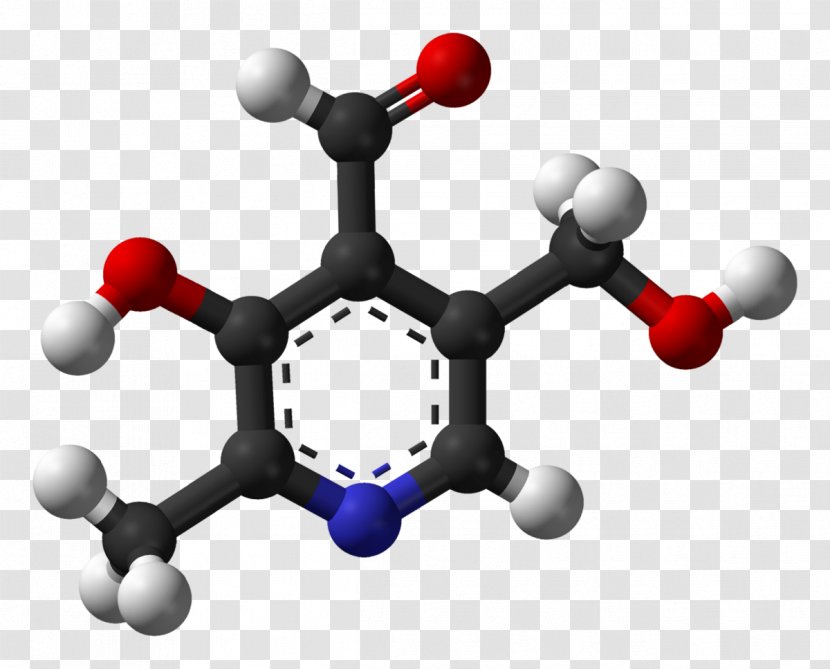 Fumaric Acid Molecule Chemical Compound Chemistry - Frame - Aerobic Metabolism Transparent PNG