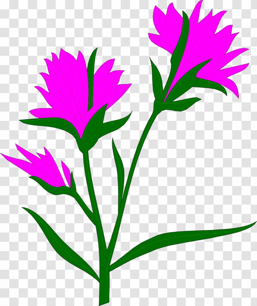 Flower Self-pollination Geitonogamy Pollen - Tree - Watercolor Pink Transparent PNG