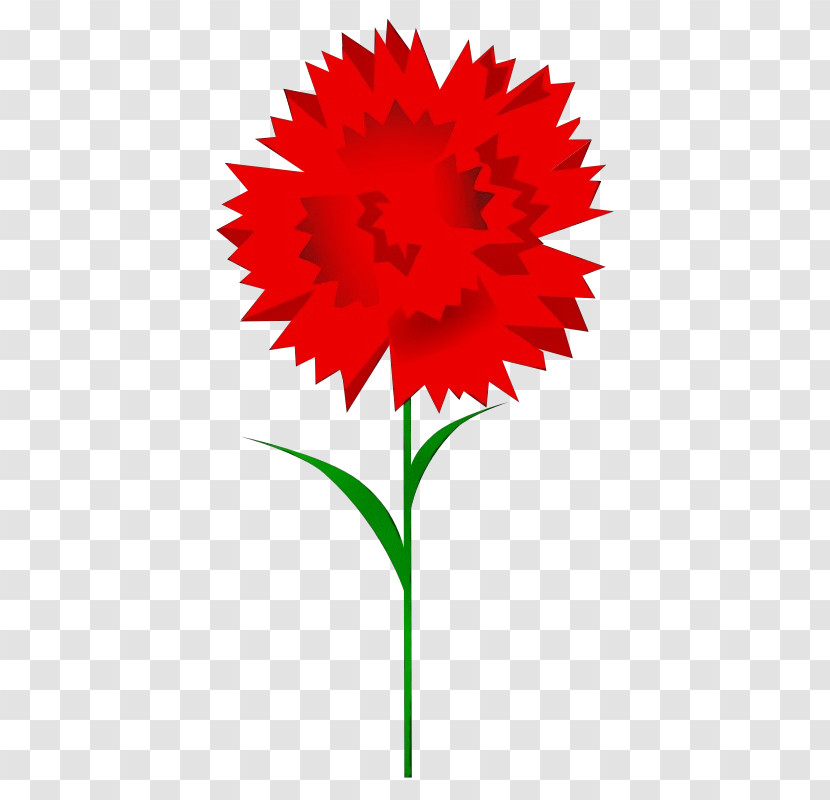 Flower Red Plant Gerbera Cut Flowers Transparent PNG