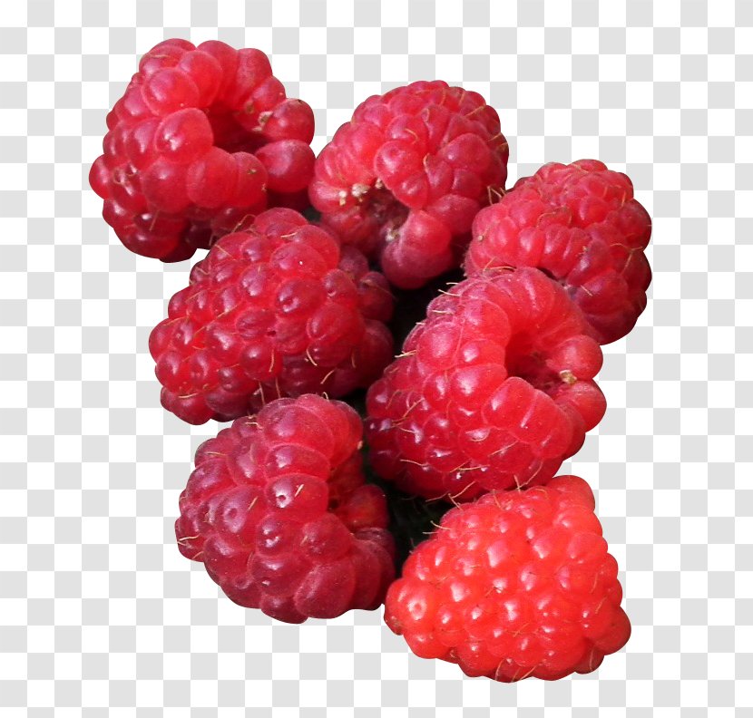 Raspberry Frutti Di Bosco Tayberry Boysenberry Loganberry - Local Food Transparent PNG
