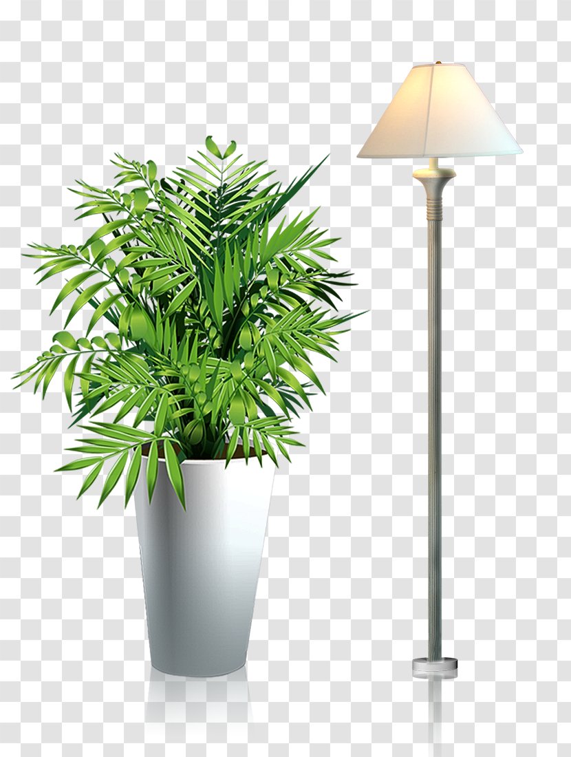 Grow Light Light-emitting Diode Hydroponics Lighting - Palm Tree - Potted Floor Lamp Transparent PNG