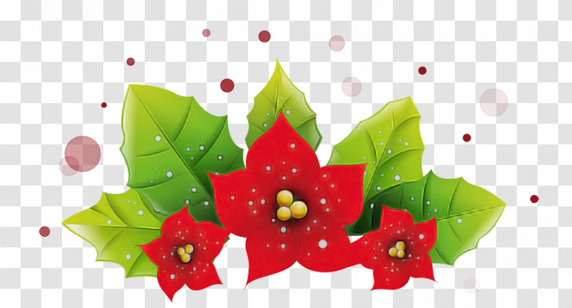 Holly Transparent PNG