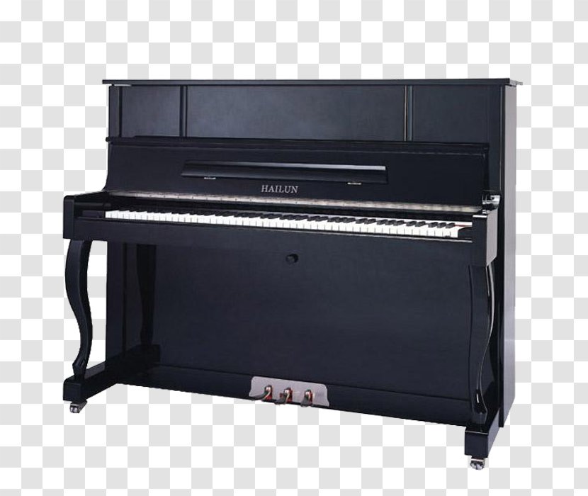 Hailun Digital Piano Musical Instrument Upright - Cartoon Transparent PNG