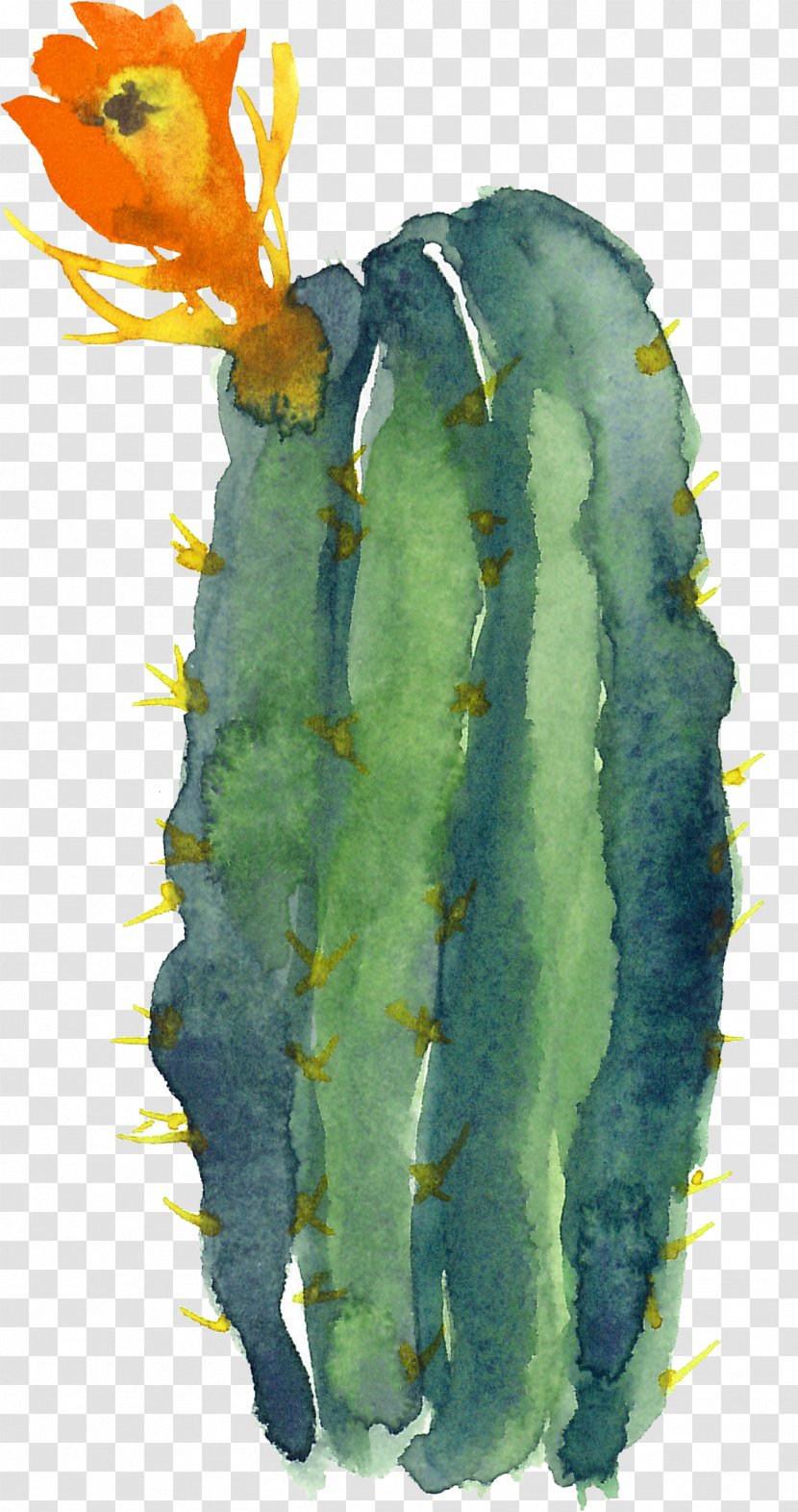 Cactaceae Modern Watercolor: A Playful And Contemporary Exploration Of Watercolor Painting - Cactus Transparent PNG