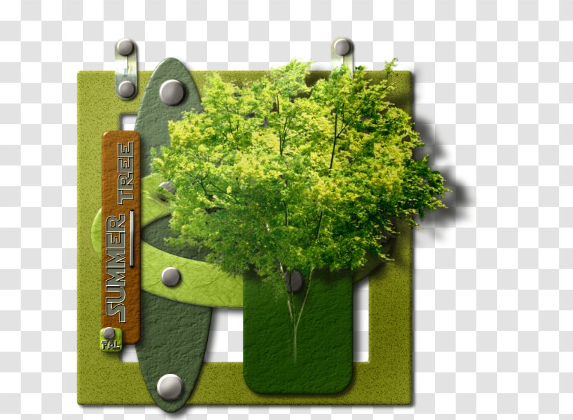 Tree Herb - Flora Transparent PNG