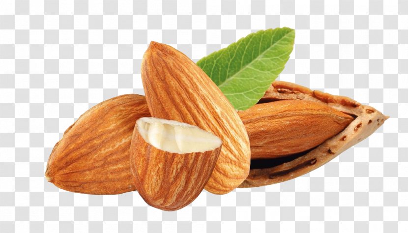 Nuts Almond Dried Fruit Transparent PNG