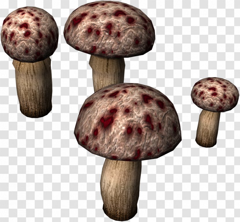 Mushroom Toad Clip Art - Pleurotus Eryngii Transparent PNG