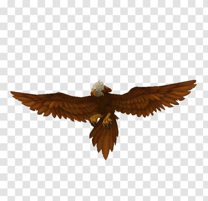 Eagle Beak Transparent PNG