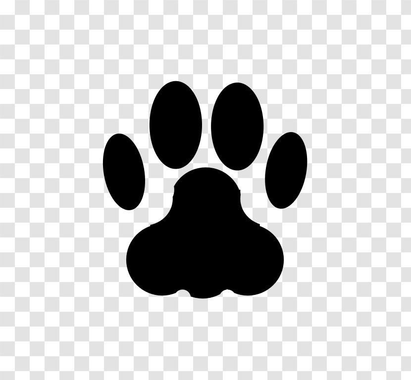 Cat Dog Animal Track Paw Clip Art - Veterinarian Transparent PNG