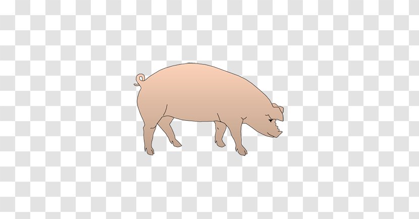 Pig Animal Game Bingo Card Mammal - Frame - Prostate Gland Transparent PNG