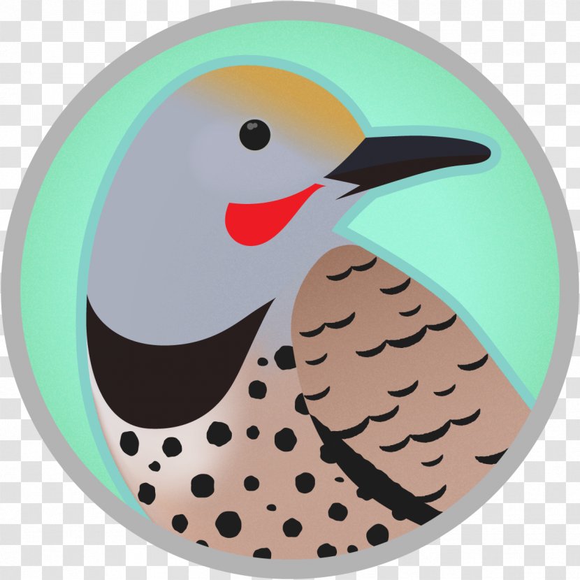 Woodpecker Bird Image Northern Flicker - License - Belgian Graphic Transparent PNG