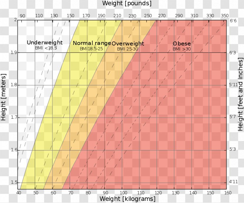 Weight And Height Percentile Body Mass Index Growth Chart Human - Ratio - Health Transparent PNG