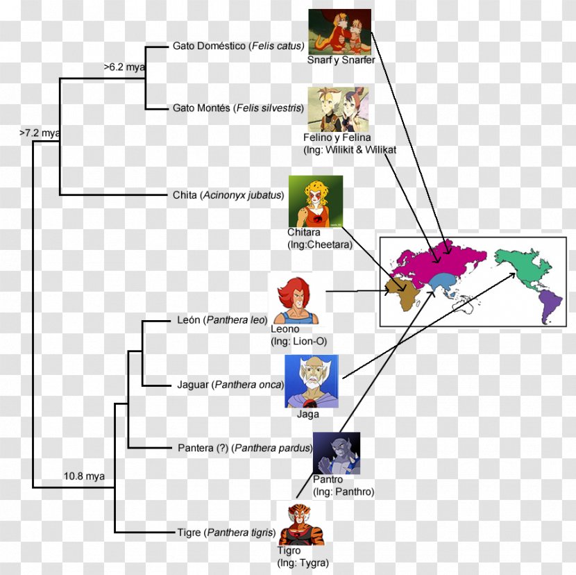Panthro Character Name Phylogenetics Diagram - Et Al Transparent PNG