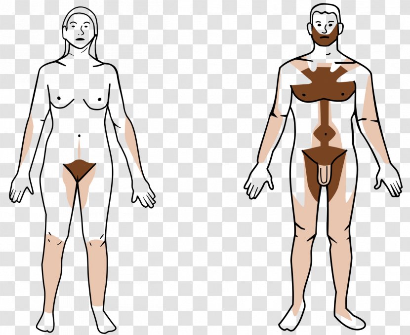 Body Hair Pubic Human Follicle Removal - Heart - Skin Transparent PNG