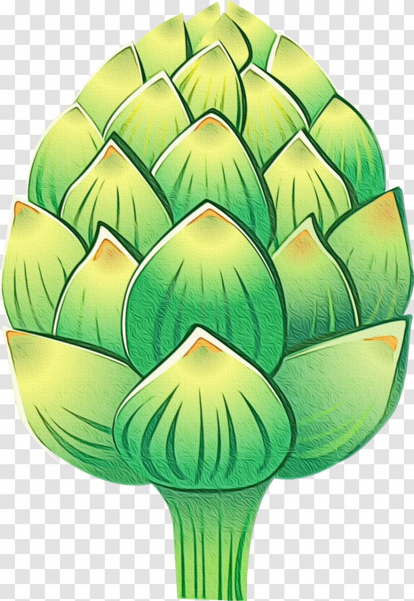 Artichoke Green Cynara Leaf Plant - Vegetable Thistle Transparent PNG