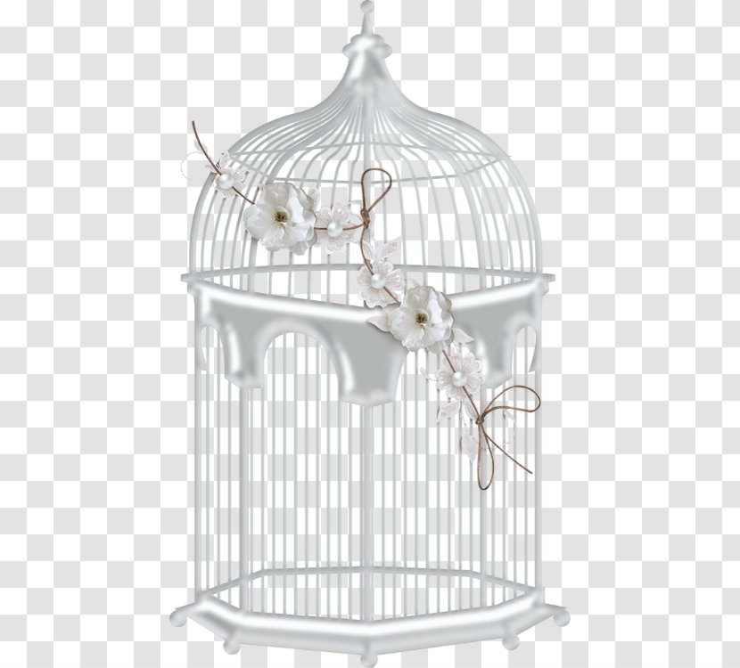 Birdcage - Pet - Wedding Cage Transparent PNG