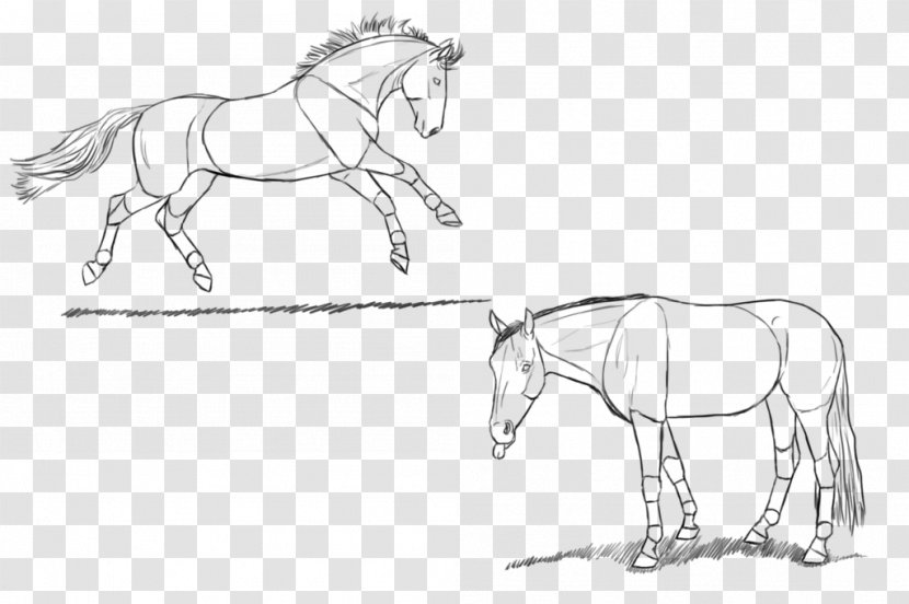Pony Mustang Rein Bridle Halter - Point - Sketched Transparent PNG