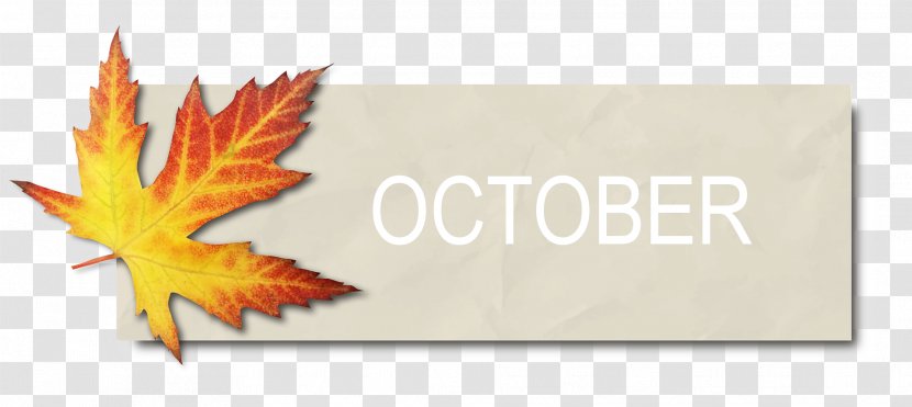 Autumn Leaf Color Maple Bàner Transparent PNG