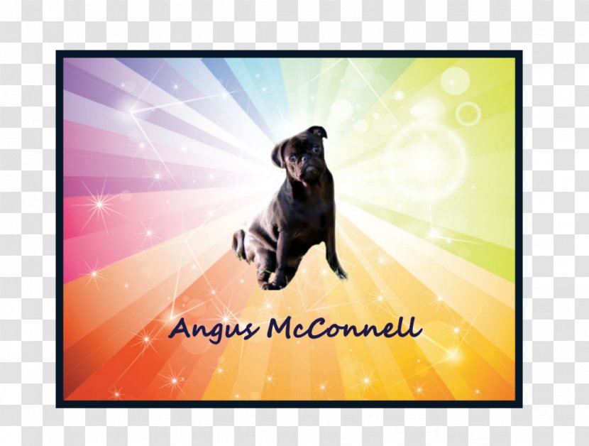 Dog Breed Advertising Stock Photography Desktop Wallpaper - Rule Of Law Transparent PNG