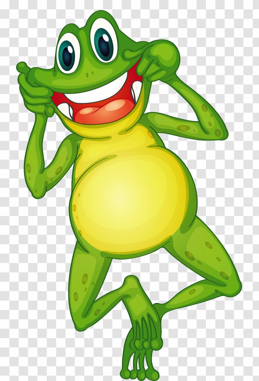Frog Toad Clip Art - Green Transparent PNG
