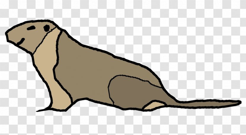 Sea Lion Walrus Beaver Marmot Mustelids - Snout Transparent PNG