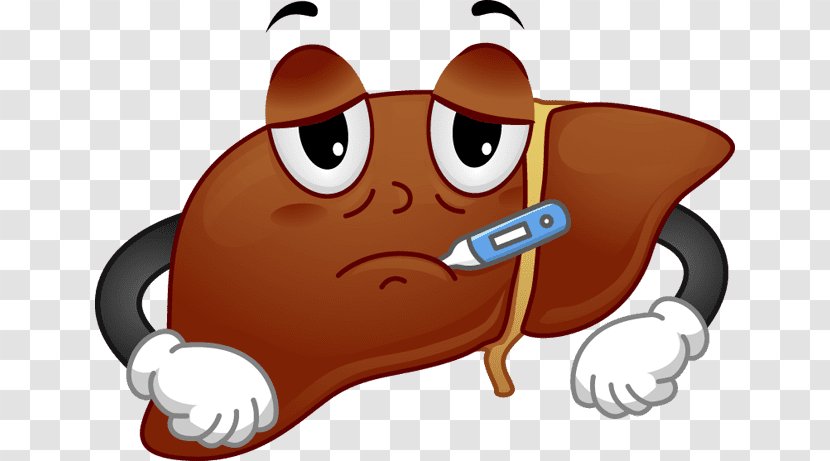 The Liver Cleansing Diet Span Disease Clip Art - Tree - Cartoon Transparent PNG