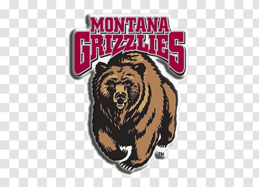University Of Montana Grizzlies Football Sport Edwin Rhodes Elementary School - Grizzly Bear - Grizli Transparent PNG
