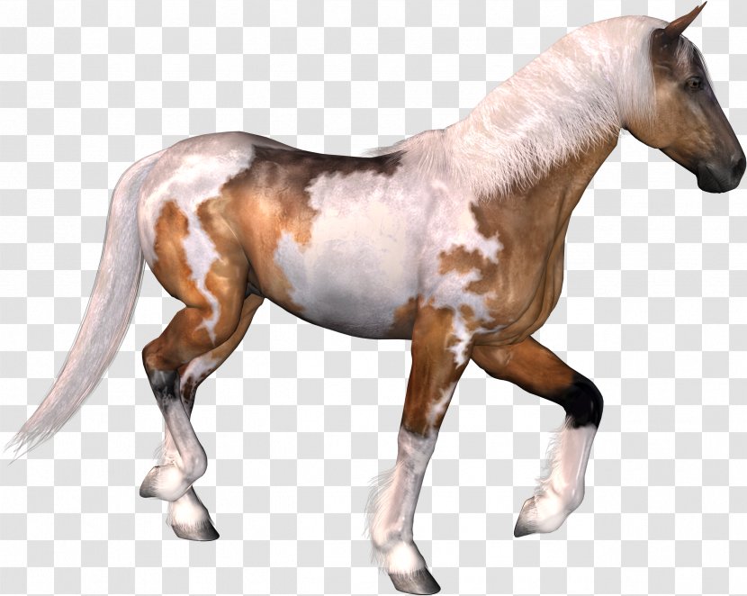 Horse Pack Animal - Sorrel - Headless Horseman Transparent PNG