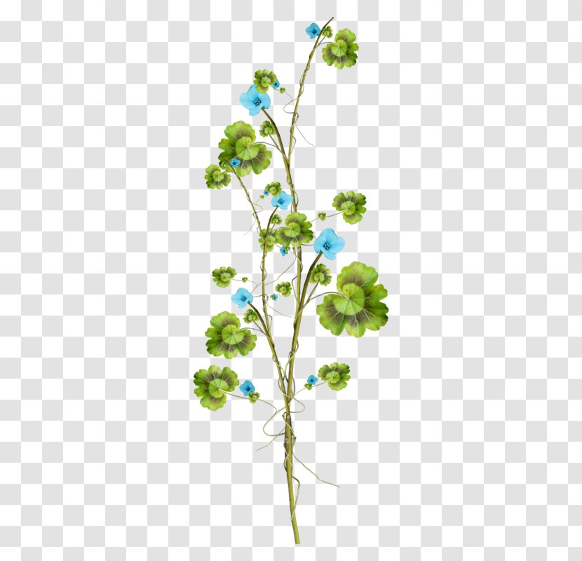 Leaf Twig Tree - Plant Stem - Accessories Jewelry Picture Sketch Transparent PNG