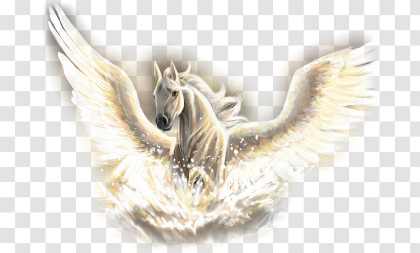 Horse Pegasus Poseidon Legendary Creature Unicorn - Flying Horses Transparent PNG