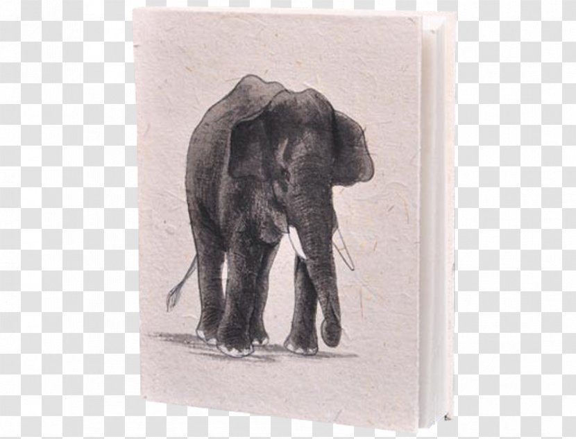 Indian Elephant African Notebook Drawing Sri Lanka Transparent PNG