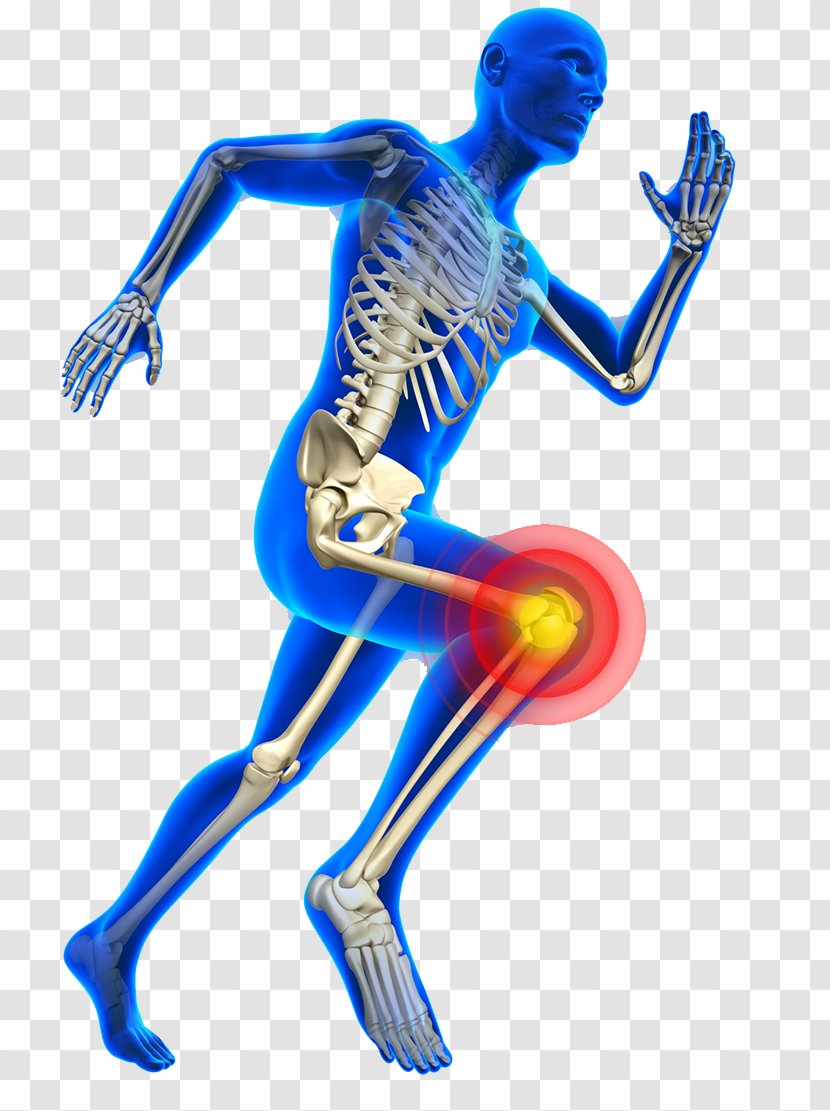 Knee Pain Sports Injury Physical Therapy Medicine - Frame - Human Bones Transparent PNG