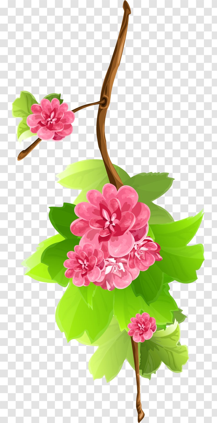 Flower Clip Art - Annual Plant Transparent PNG
