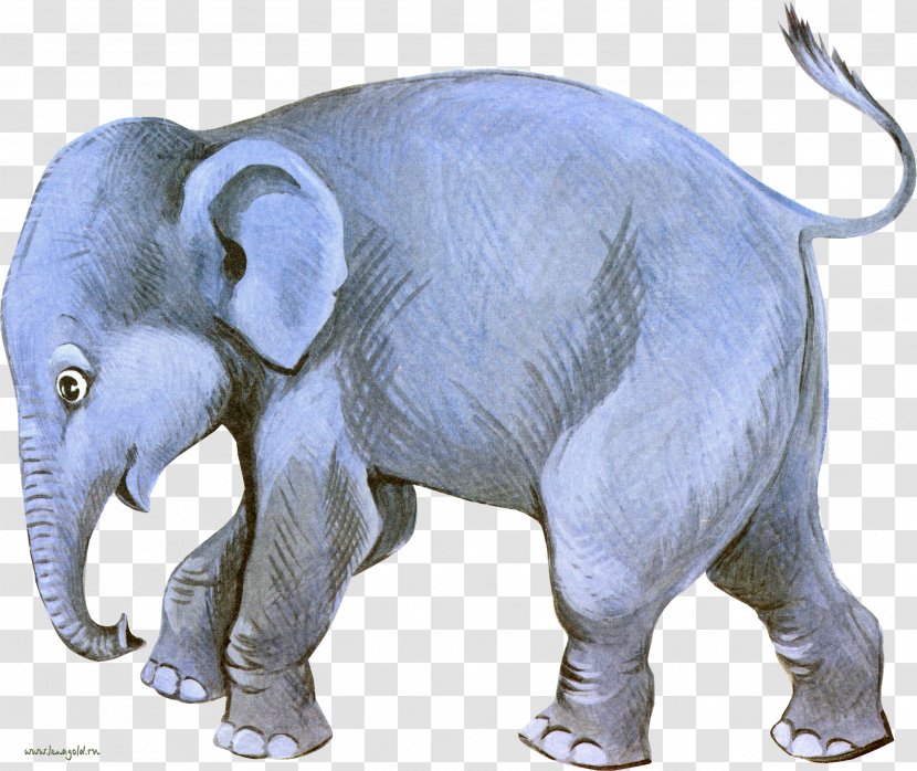 Indian Elephant African Dog Clip Art Transparent PNG