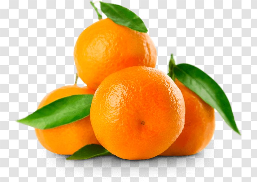 Mandarin Orange Clementine Tangerine Tangelo Fruit Transparent PNG