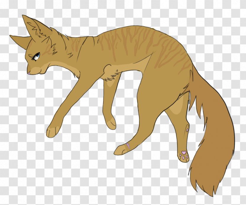 Whiskers Wildcat DeviantArt Red Fox - Macropodidae - Cat Transparent PNG