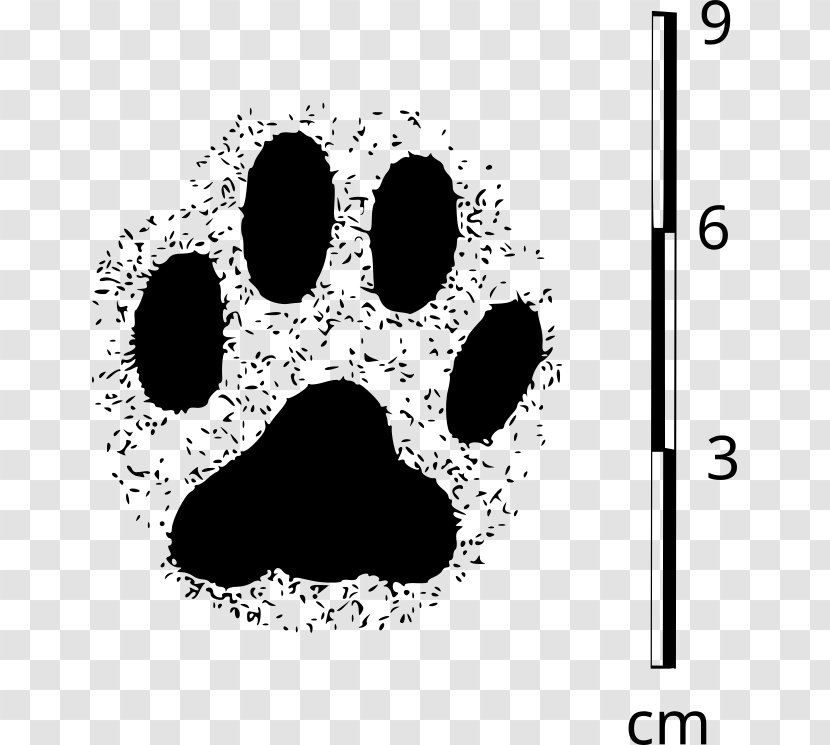 Cat Chihuahua Paw Pet Dog Grooming - Gift Transparent PNG