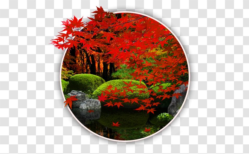 Japanese Rock Garden The Android - Google Transparent PNG