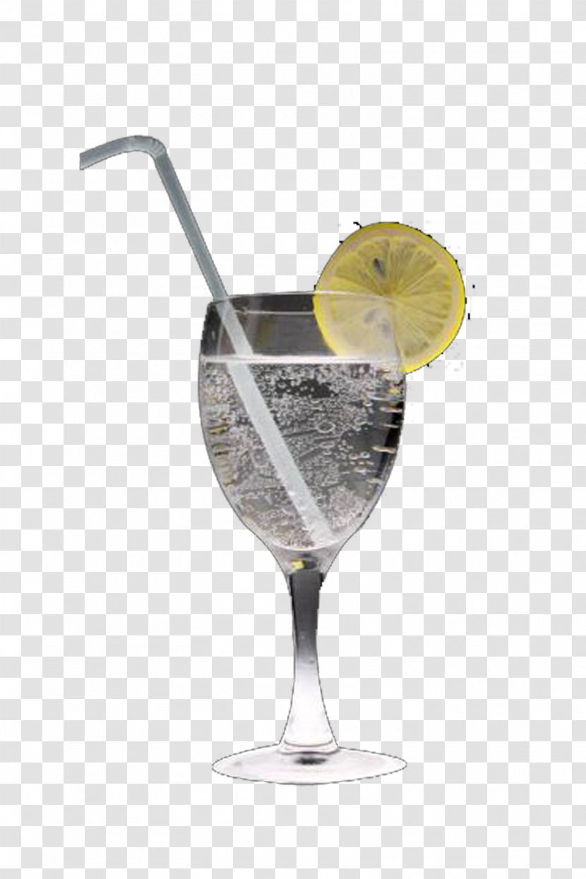 Martini Gin And Tonic Cocktail Garnish Sprite - Glass - Lemon Transparent PNG