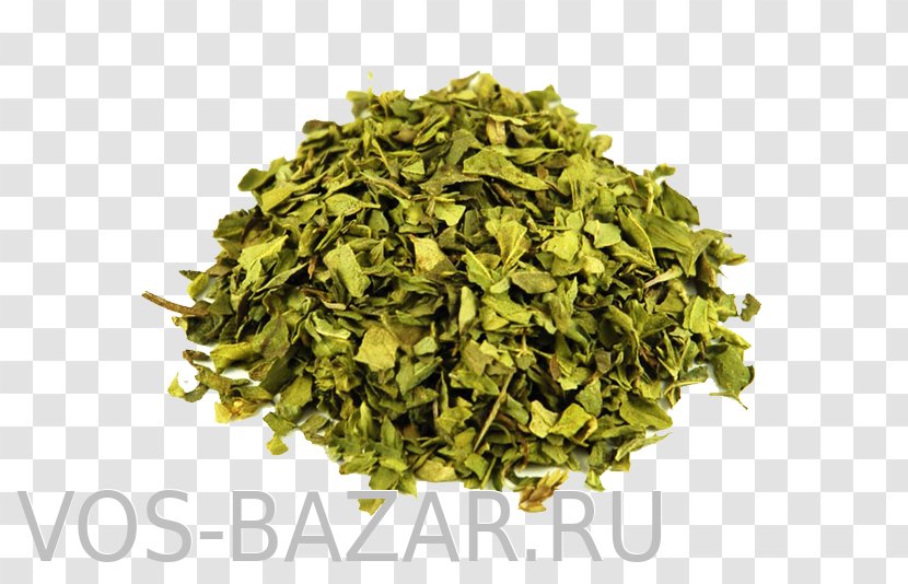 Oregano Condiment Spice Raw Foodism Herb - Tieguanyin - Vegetable Transparent PNG