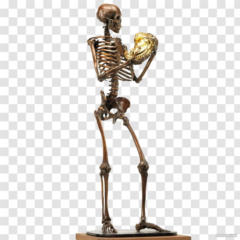 Human Skeleton Sculpture Body U9ab7u9ac5 - Trophy - Metal Transparent PNG