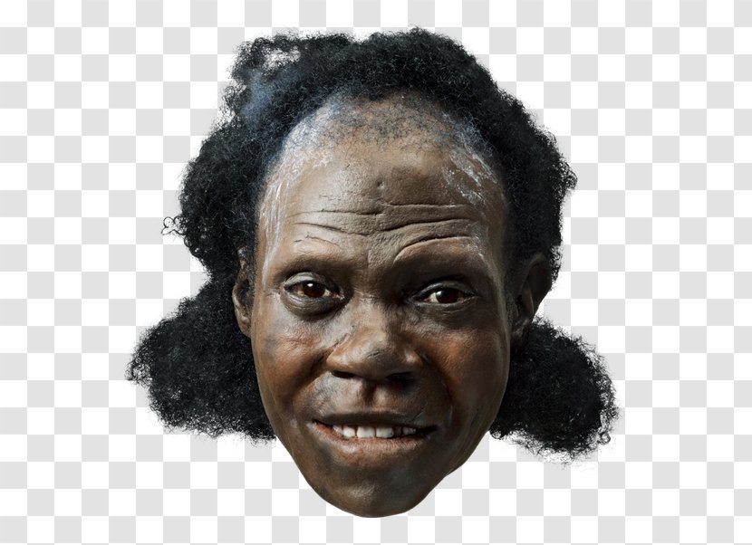 Early Human Migrations Neandertal Anatomically Modern Flores Man Archaic Humans - Aging Transparent PNG