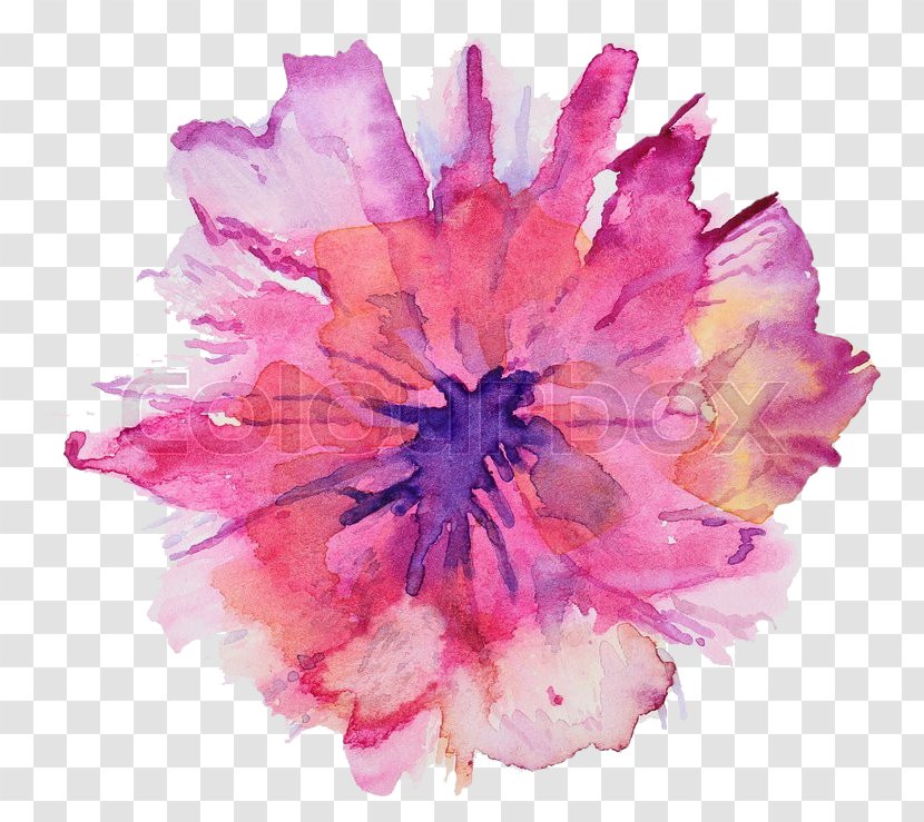 Watercolour Flowers Watercolor Painting Art Drawing - Flowering Plant Transparent PNG