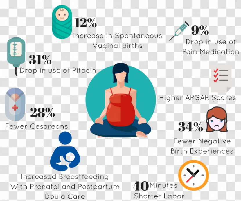 Doula Childbirth Midwife Prenatal Care Postpartum Period - Diagram Transparent PNG