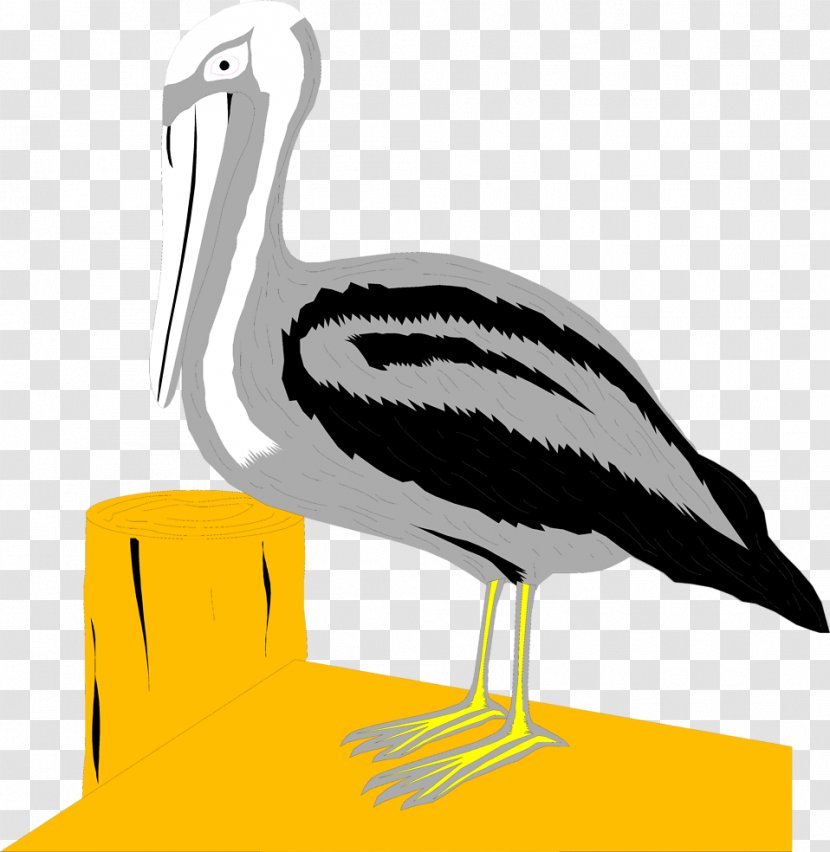 Pelican Bird Dock Clip Art - Water Transparent PNG