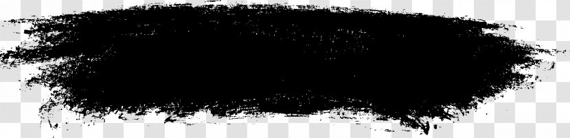 White Fur Black M - Tree Transparent PNG