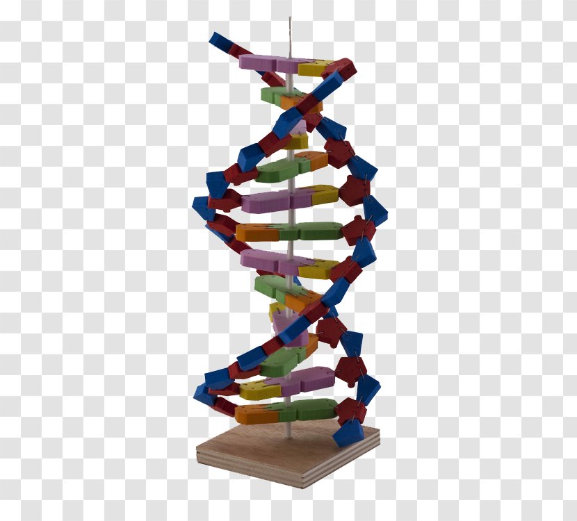DNA Science Experiment Nucleotide Material - Simple Machine - Models Transparent PNG