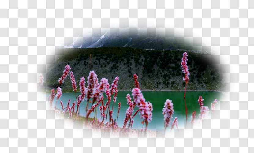 Lake Desktop Wallpaper Spring Mountains Flower Landscape Transparent PNG